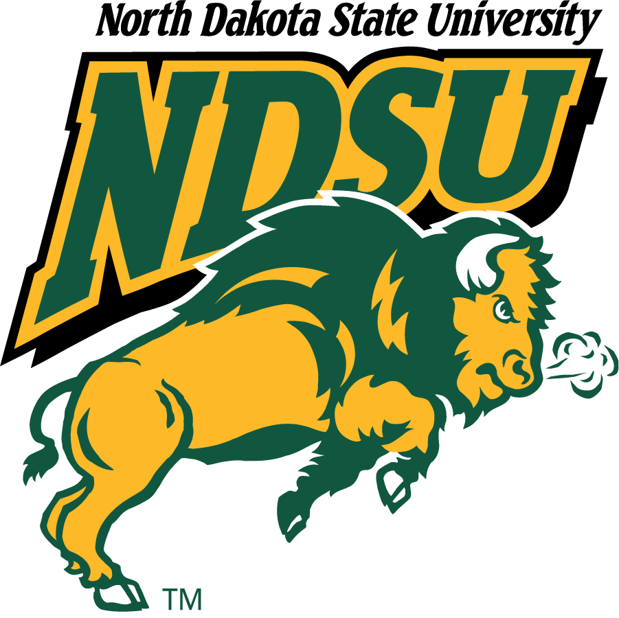 North Dakota State Bison 1999-2012 Alternate Logo v2 diy DTF decal sticker